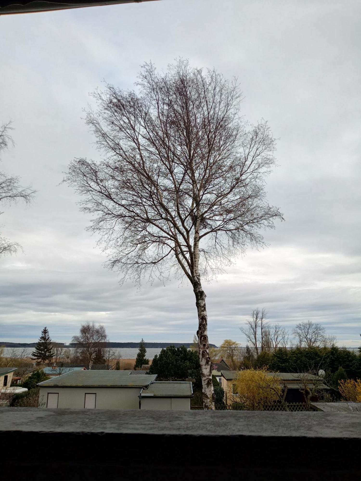 Apartamento Fischstuebchen Neeberg Krummin Exterior foto